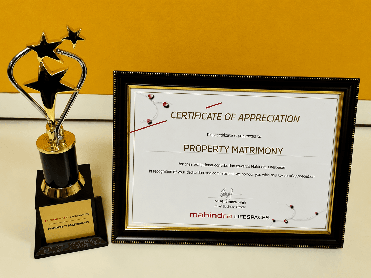 Property Matrimony award and certificate