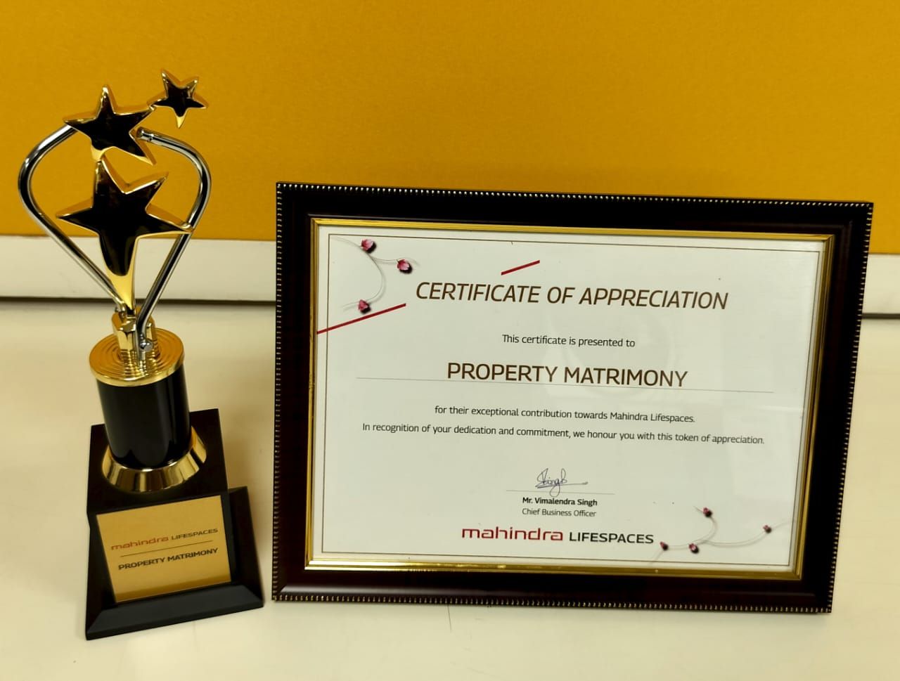 Property Matrimony award recognition 14